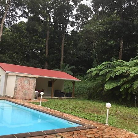 Les Lucioles 1 Beau T2 En Foret Tropicale Avec Acces Piscine Saint-Joseph エクステリア 写真