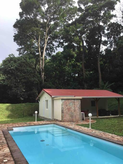 Les Lucioles 1 Beau T2 En Foret Tropicale Avec Acces Piscine Saint-Joseph エクステリア 写真