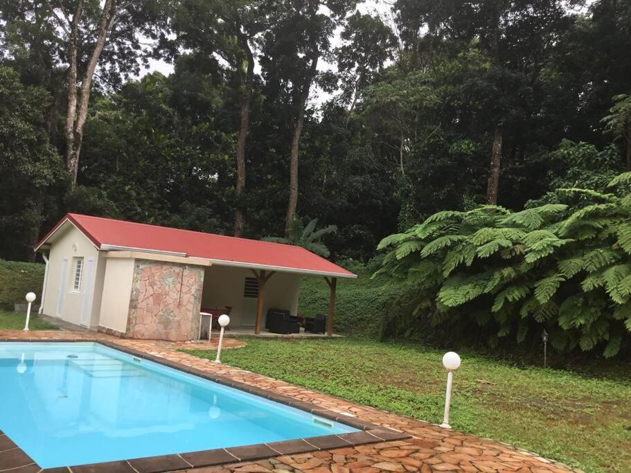 Les Lucioles 1 Beau T2 En Foret Tropicale Avec Acces Piscine Saint-Joseph エクステリア 写真
